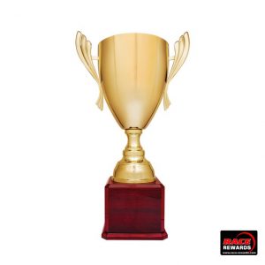 Completed Metal Cups Style #31
