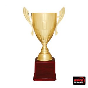 A gold metal trophy cup on a wood base by Race Rewards.