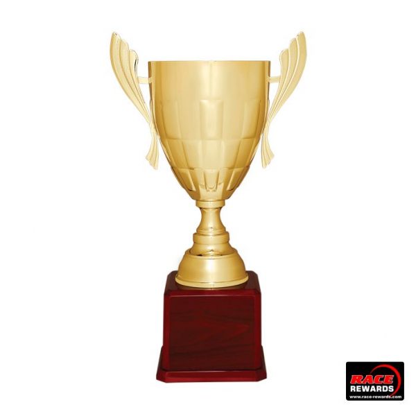 A gold metal trophy cup on a wood base by Race Rewards.