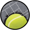 2" Sport Self-Adhesive Inserts - Image 6